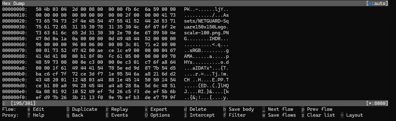 NetGuard Hex Dump